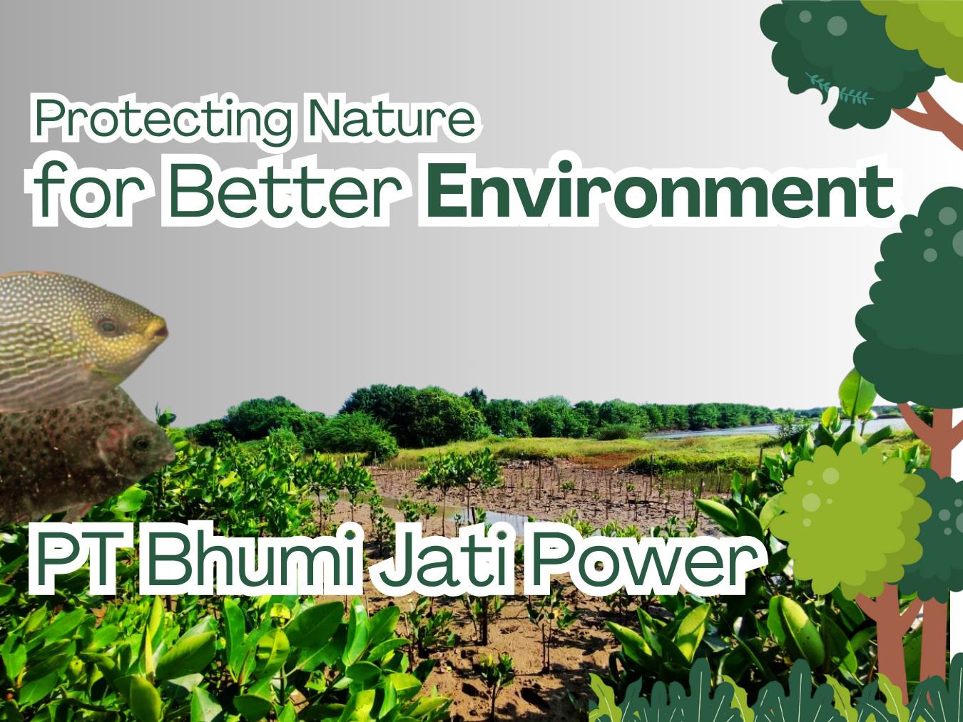Biodiversity Report Preview